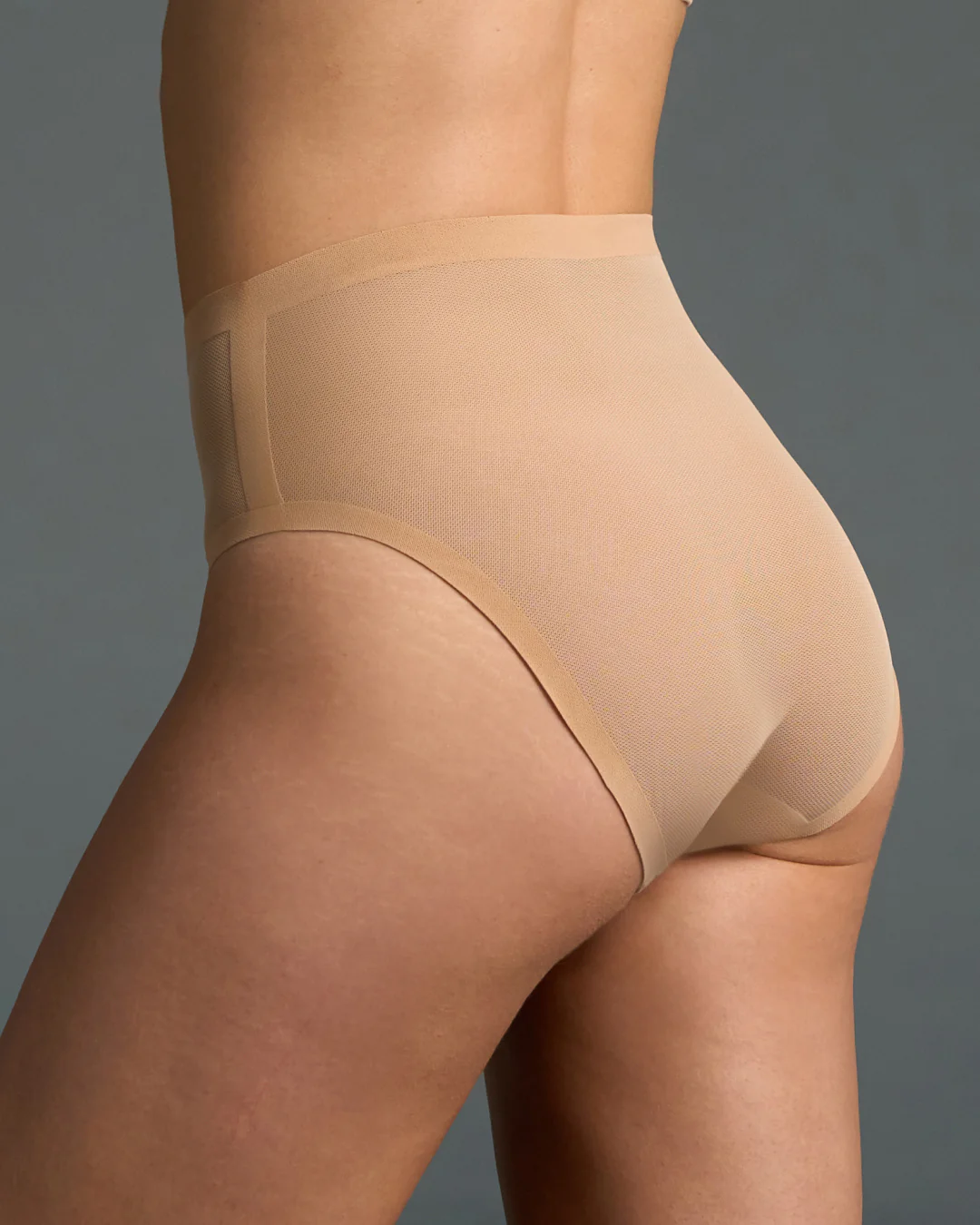 Champagne Mesh High Cut Highwaisted - Image 3